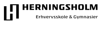 Herningsholm Erhvervsskole & Gymnasier logo